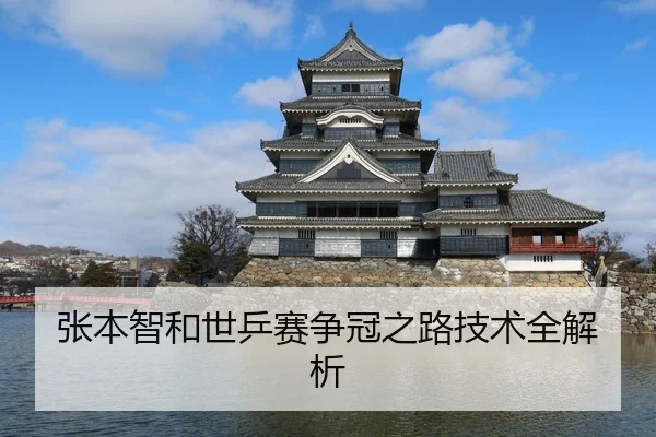 张本智和世乒赛争冠之路技术全解析